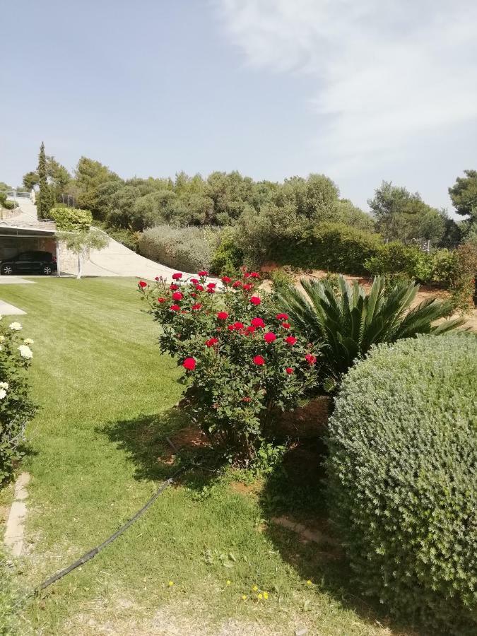 Dimitra Hotel Rafina  Exterior photo